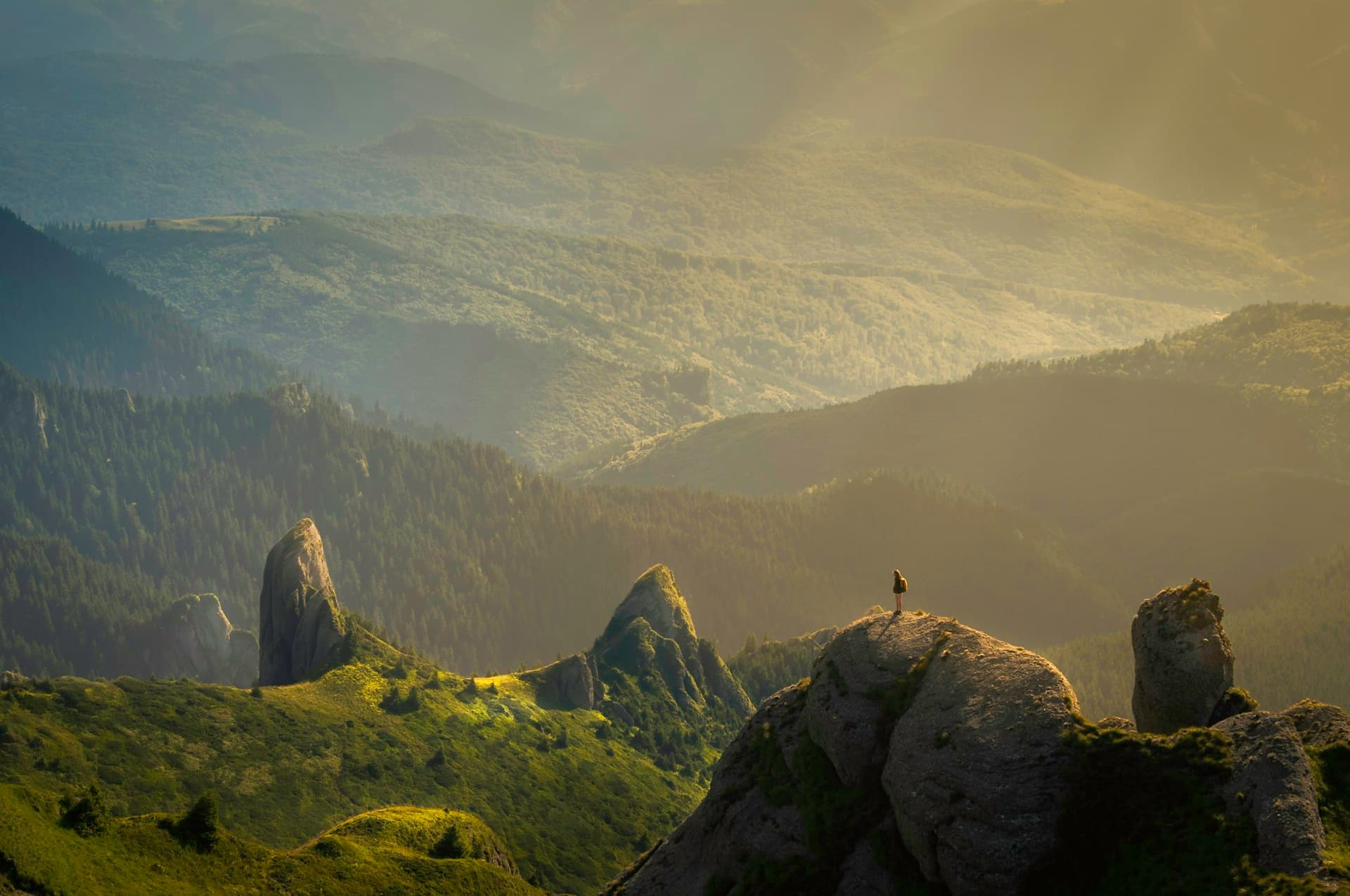 Vast green landscape representing environmental regeneration