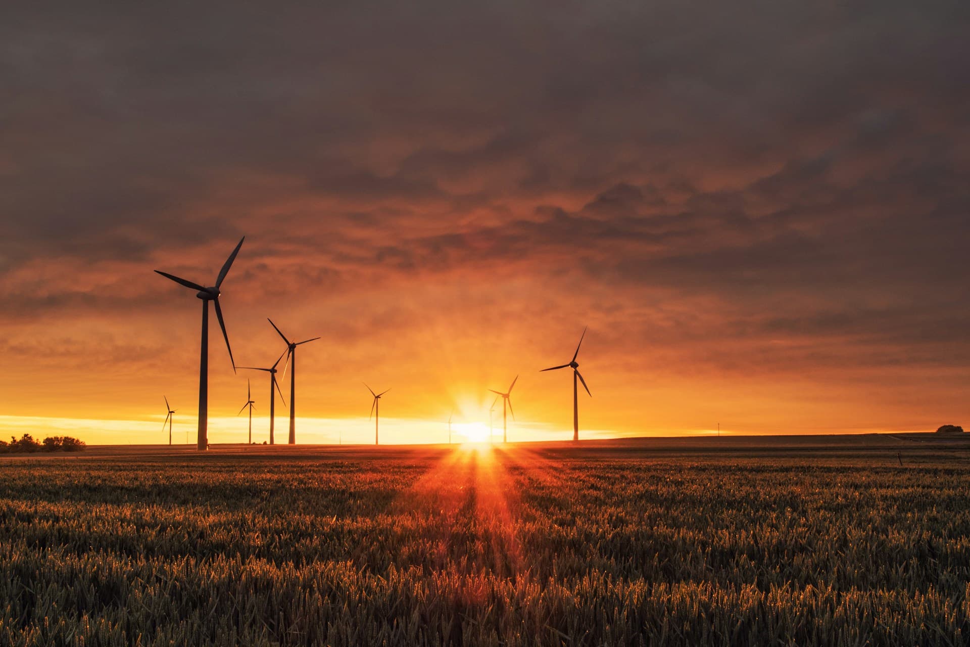 Biogas processing technology — industrial engineering at GreenEarth 3D BioWorks